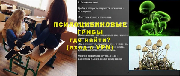 ПСИЛОЦИБИНОВЫЕ ГРИБЫ Абдулино