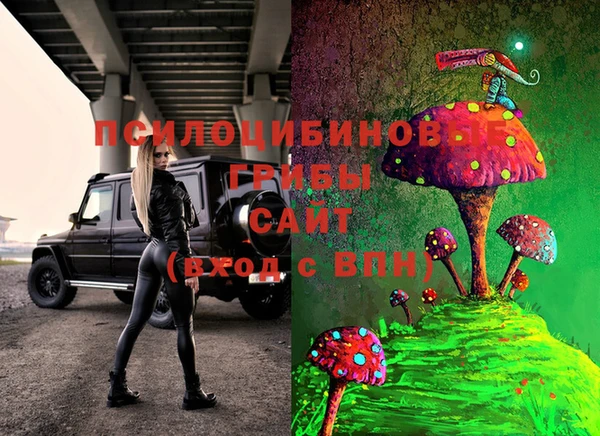 ПСИЛОЦИБИНОВЫЕ ГРИБЫ Абдулино
