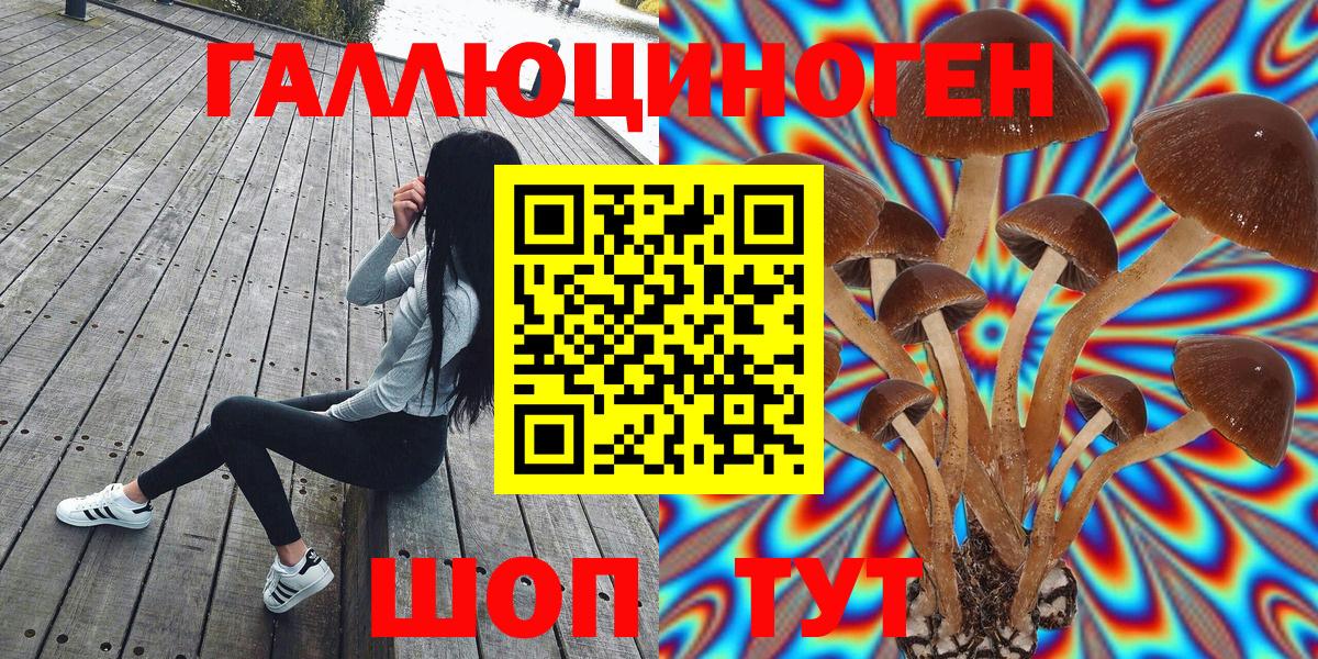 Галлюциногенные грибы Magic Shrooms  как найти закладки  Саратов  Вход с VPN 